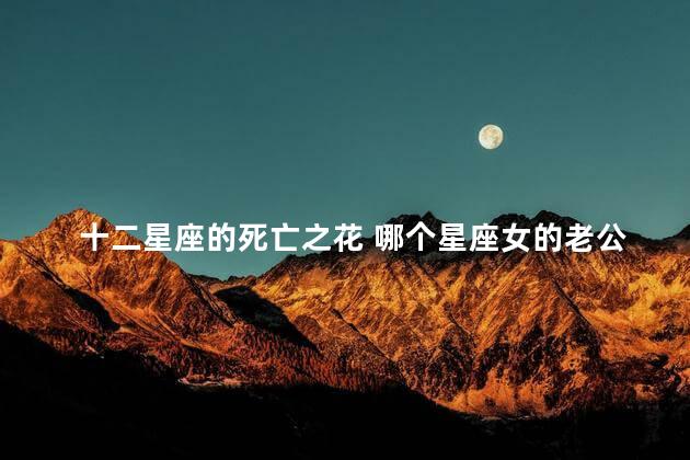 十二星座的死亡之花 哪个星座女的老公帅